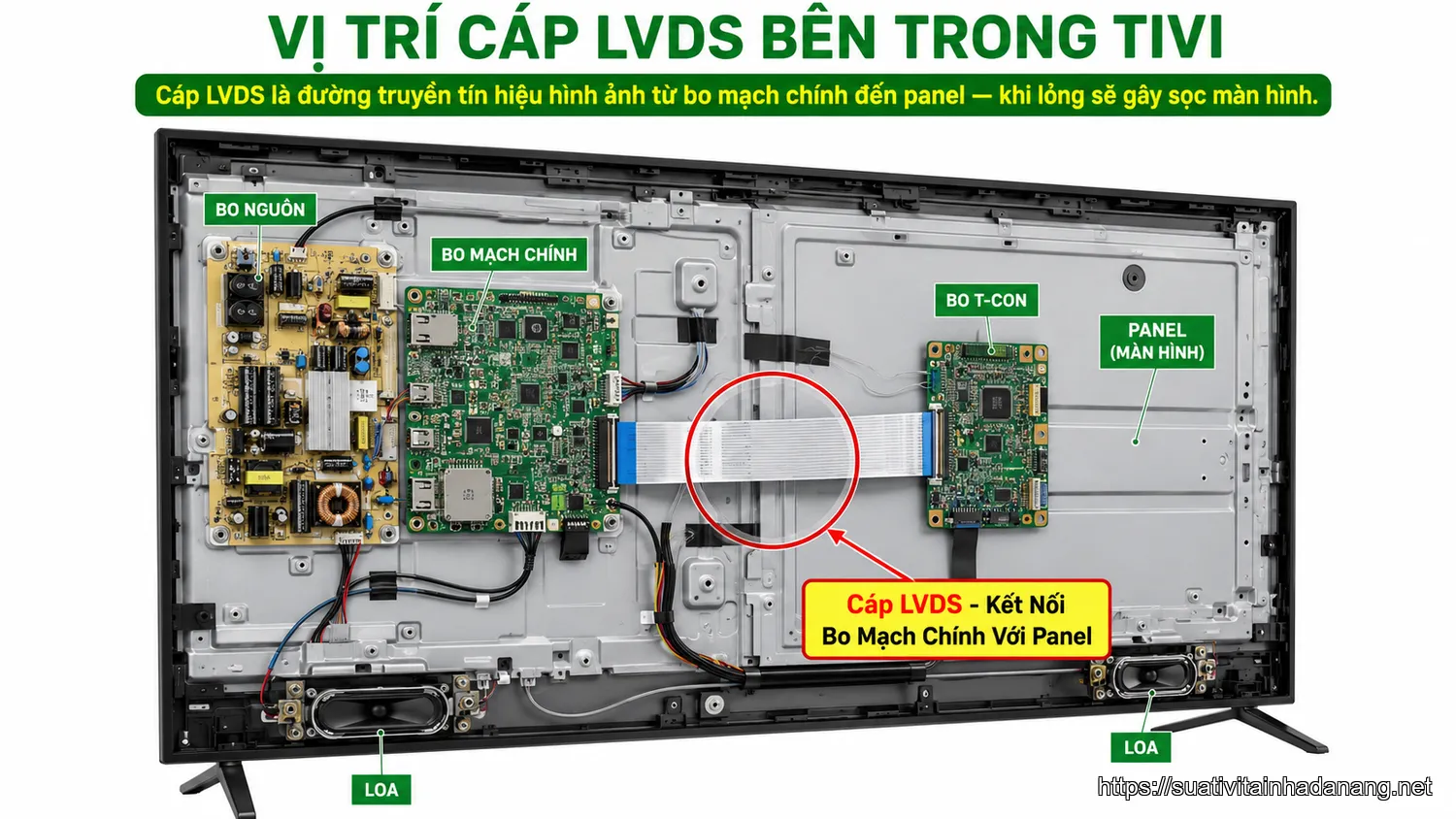 Sơ đồ vị trí cáp LVDS bên trong tivi kết nối bo mạch chính với màn hình LCD